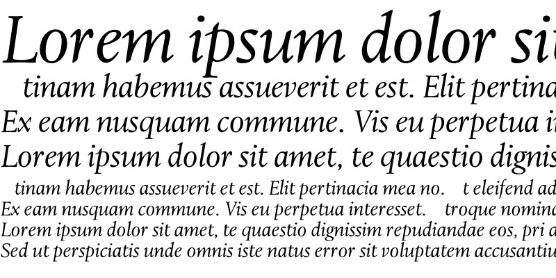 Sample of LeightonLightItalic