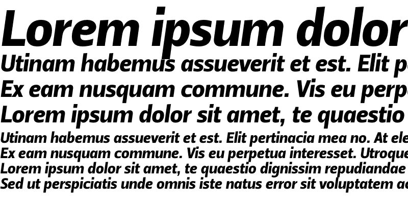 Sample of Leitura Sans Italic 4