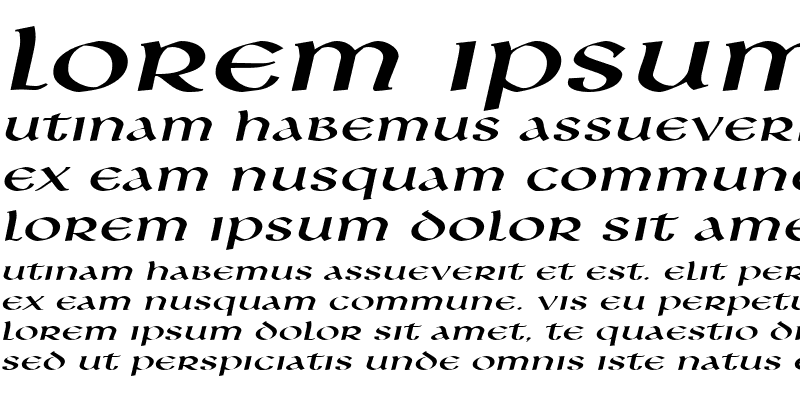 Sample of LeoExtended Italic