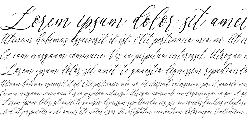 Sample of Letternisa Slant