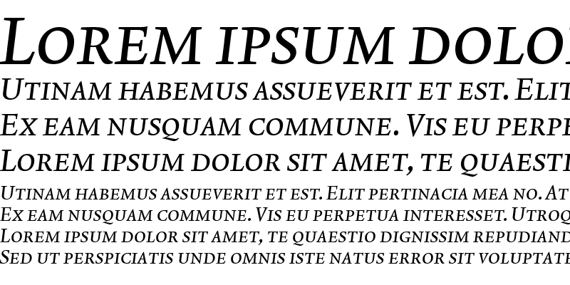 Sample of Lexicon No1 Italic A Exp