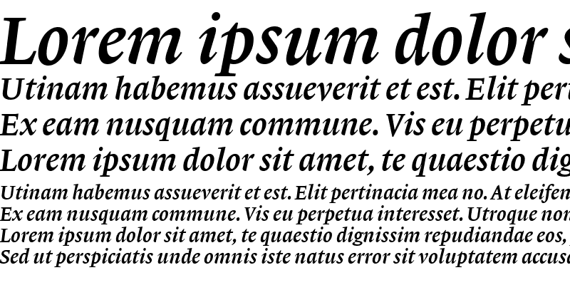 Sample of Lexicon No1 Italic C Med