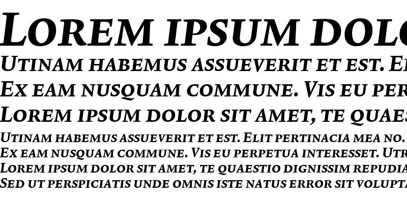 Sample of Lexicon No1 Italic D Exp