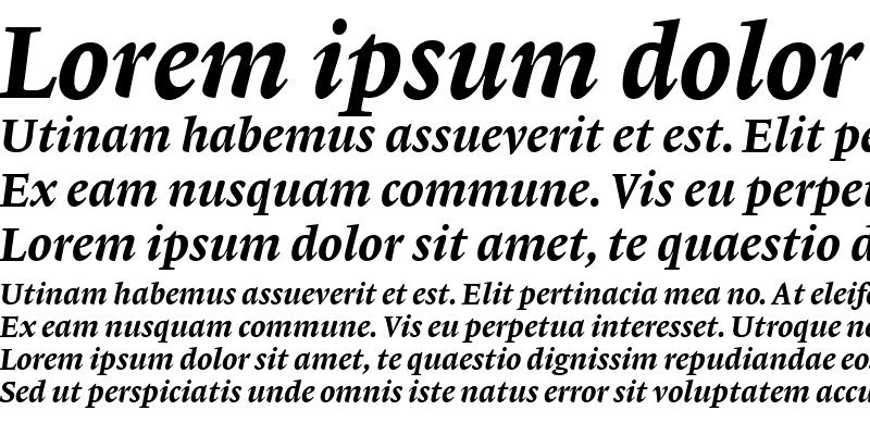 Sample of Lexicon No1 Italic D Med