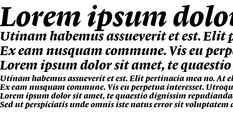 Sample of Lexicon No1 Italic E Med