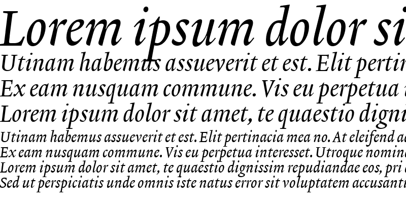Sample of Lexicon No2 Italic A Med
