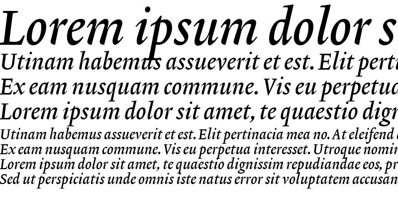 Sample of Lexicon No2 Italic B Med