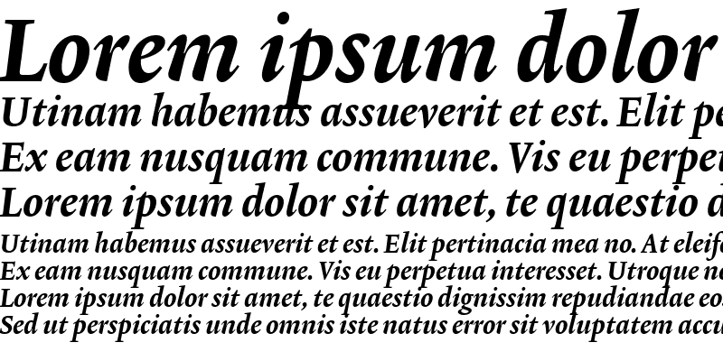 Sample of Lexicon No2 Italic D Tab
