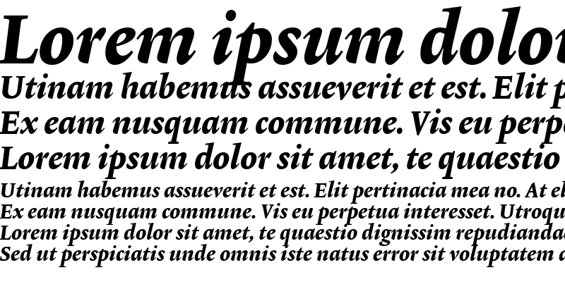 Sample of Lexicon No2 Italic E Med