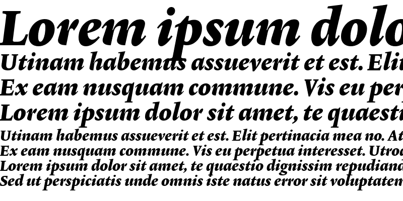 Sample of Lexicon No2 Italic F Med