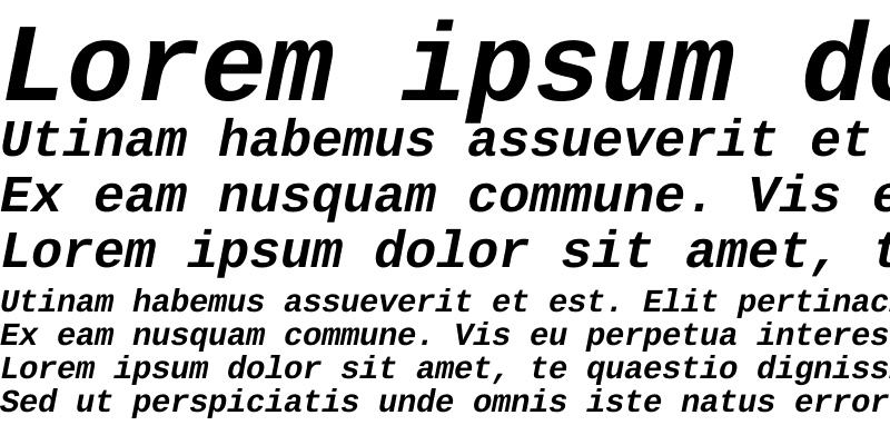 Sample of Liberation Mono Bold Italic