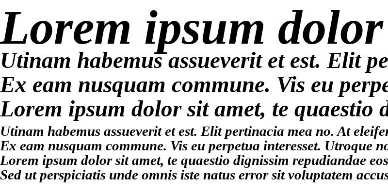 Sample of Liberation Serif Bold Italic