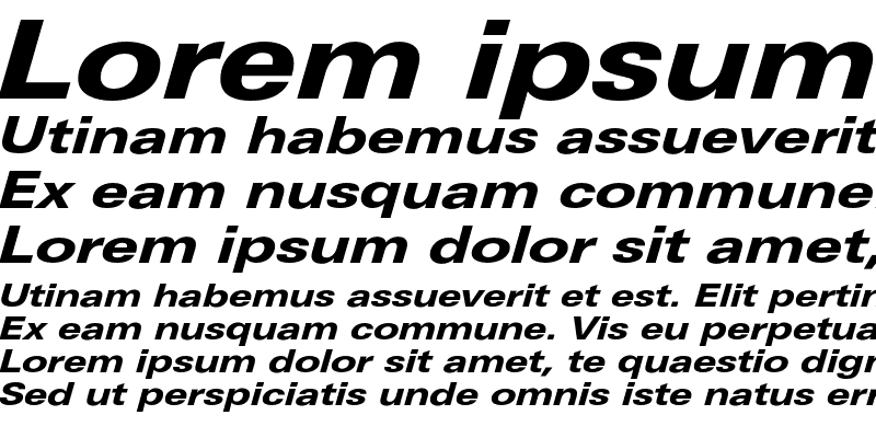Sample of LinotypeUnivers ExtdHeavy Italic