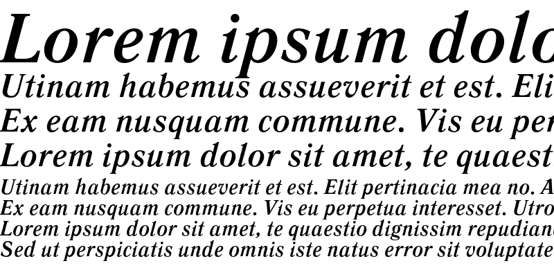 Sample of LiteraturnayaC Bold Italic