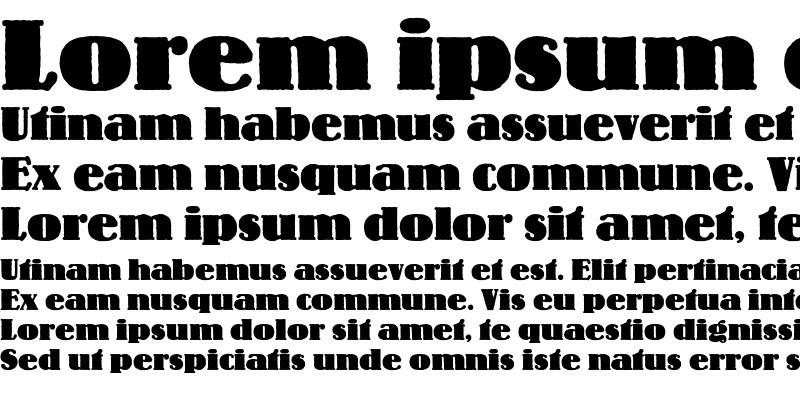 Sample of Lo-Type Bold
