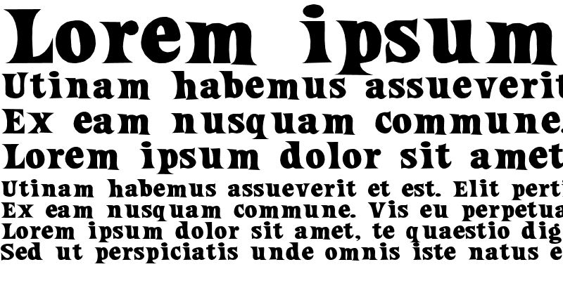 Sample of Loose New Roman Wide