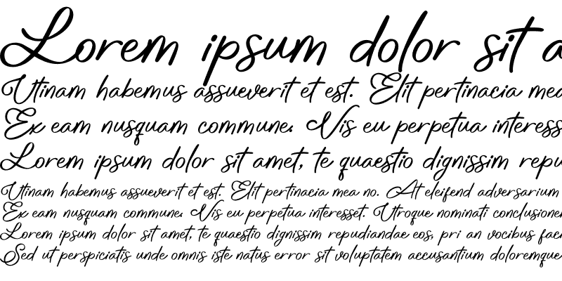 Sample of Love Conchetta