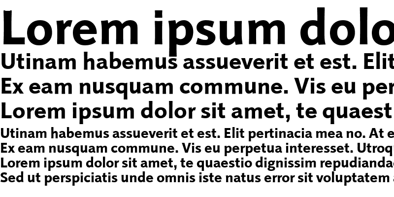 Sample of LTProjekt Heavy