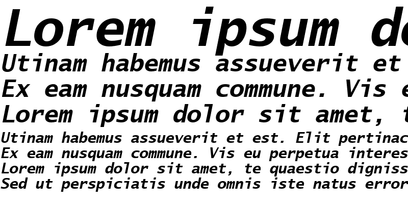 Sample of Lucida Sans Typewriter Bold Oblique