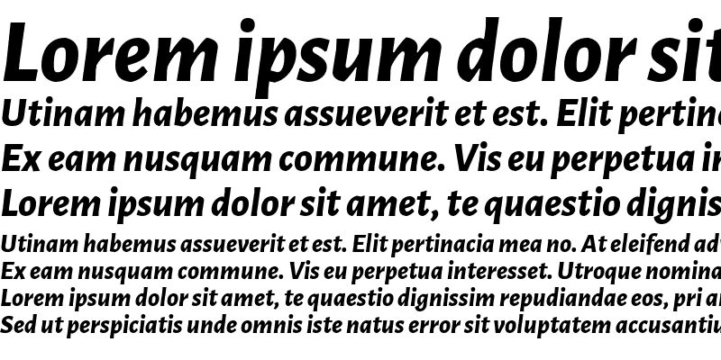 Sample of Luna Sans ExtraBold Italic