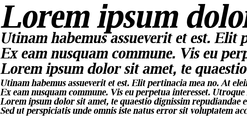 Sample of Luxi Serif Bold Oblique