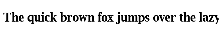 Preview of Luxi Serif Bold