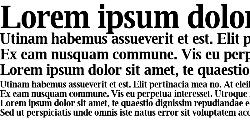 Sample of Luxi Serif Bold