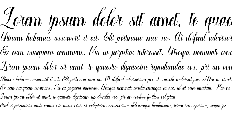 Sample of Macrofhyllya Script