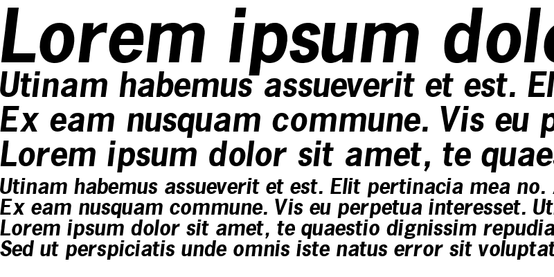 Sample of MacroSSK Bold Italic