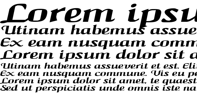 Sample of MaidenWordExtended Italic