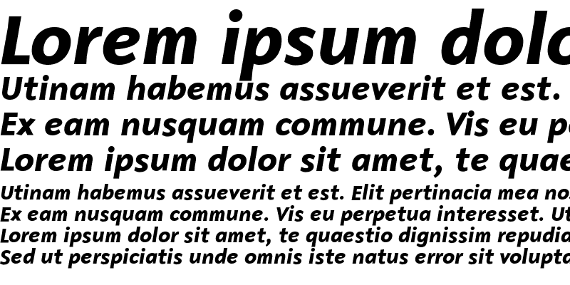 Sample of Malcom Bold Italic