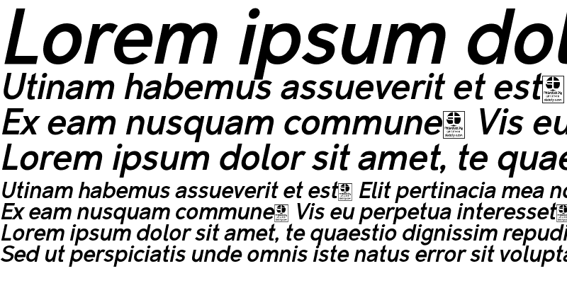 Sample of Malter Sans Bold Italic demo