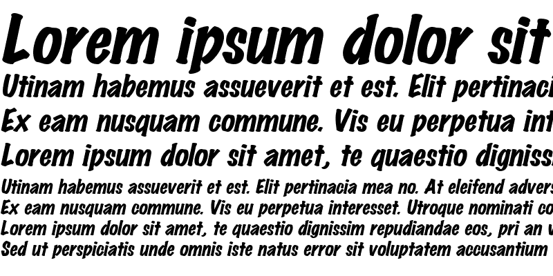Sample of MarkingPenHeavy Italic