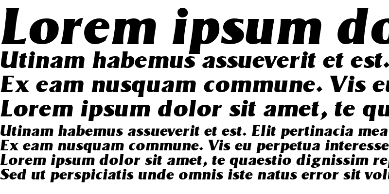 Sample of MatroxDisplaySSi