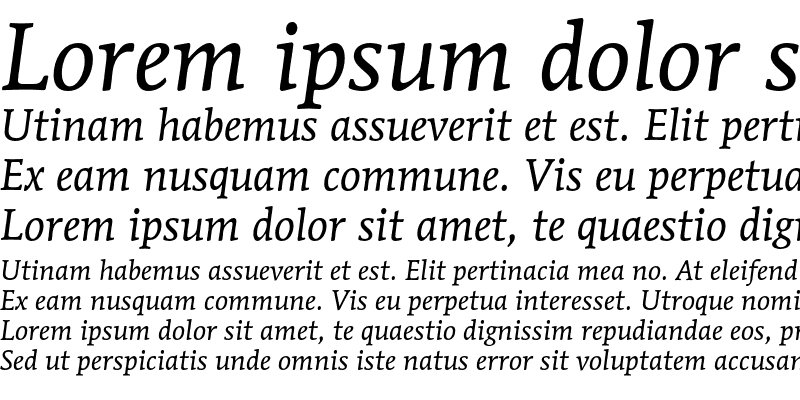 Sample of MendozaEF Book Italic