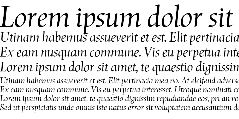 Sample of Mentor Light Italic