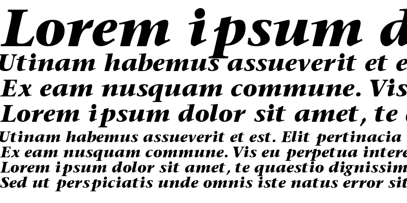 Sample of MesouranSerifBlackSSK Italic