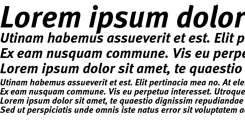 Sample of MetaBoldTurk Italic
