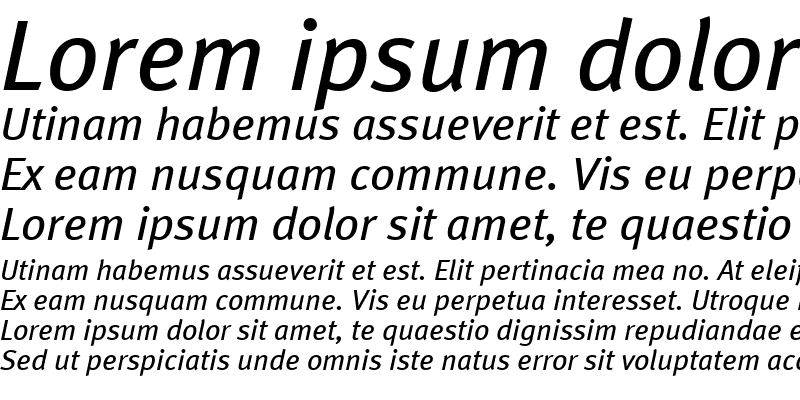 Sample of MetaBookTurkLF Italic