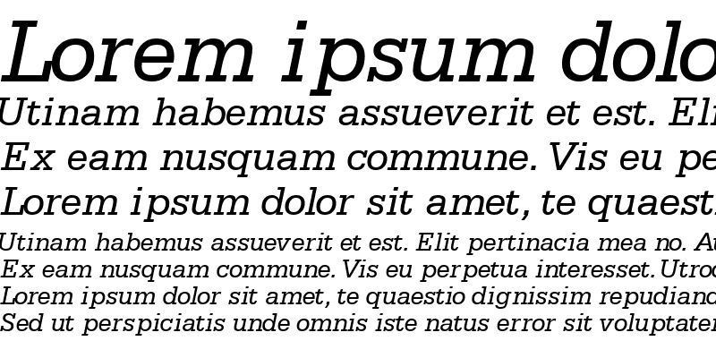 Sample of MetronSSK Italic