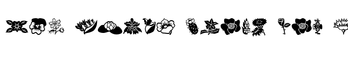 Preview of Mini Pics Lil Flowers