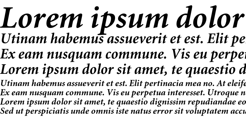 Sample of MiniatureC Bold Italic