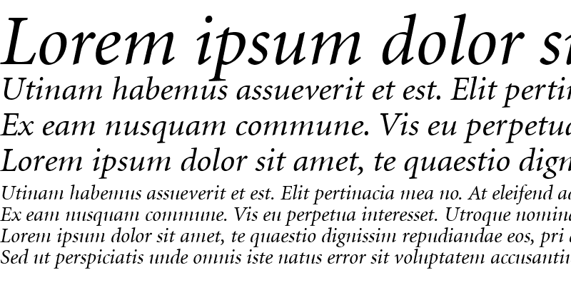 Sample of Minion LT Italic