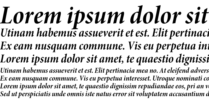 Sample of Minion Pro Bold Cond Italic Subhead