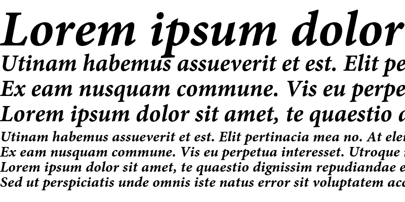 Sample of Minion Pro Bold Italic Caption