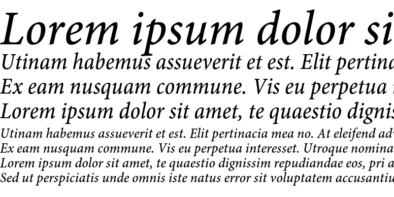 Sample of Minion Pro Medium Cond Italic Caption
