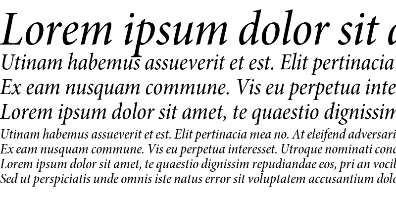 Sample of Minion Pro Medium Cond Italic Subhead