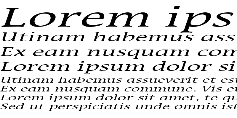 Sample of Mirror Extended Italic