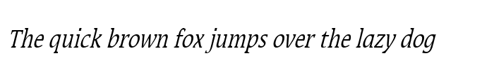 Preview of Mirror Thin Italic
