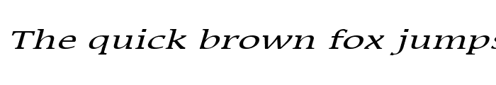 Preview of Mirror Wide Italic